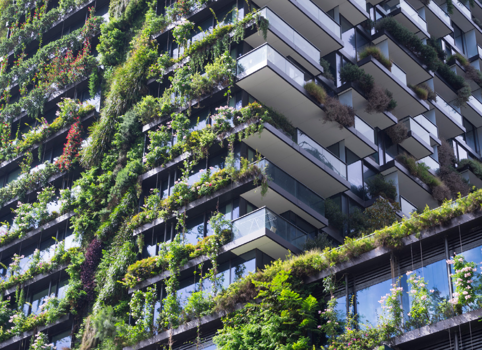Nature Based Cities, urban greening and sustainability