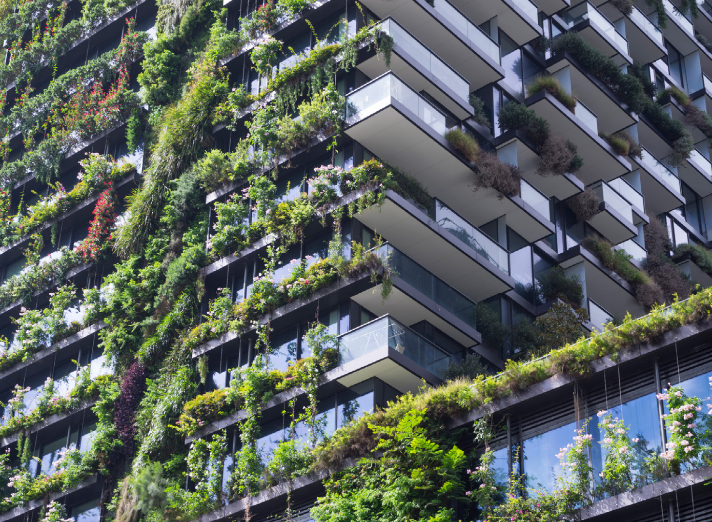 Green Star and NABERS, Ark Resources ESD